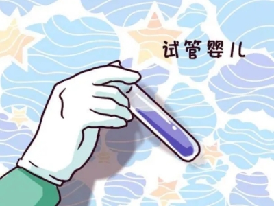 陈若晴 副院长